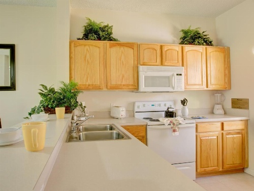 Magical Memories Villas-Disney Area image 47